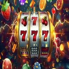 WIM678 Bingo